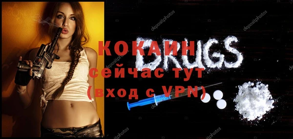 дживик Алексин