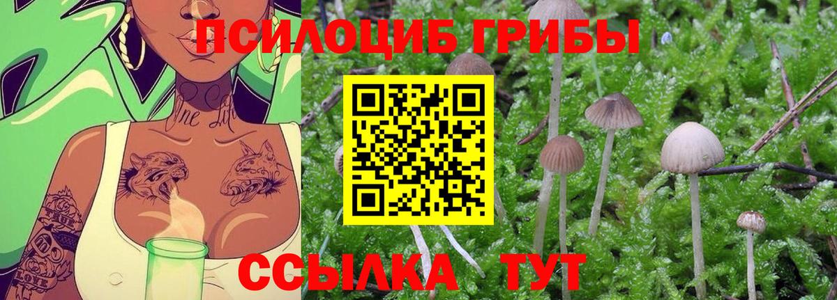 Галлюциногенные грибы Cubensis  Галлюциногенные грибы GOLDEN TEACHER  Вход с VPN  Ишим 